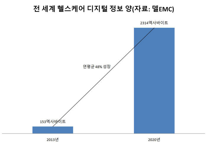 전 세계 헬스케어 디지털 정보 양