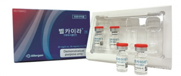 사진/한국엘러간