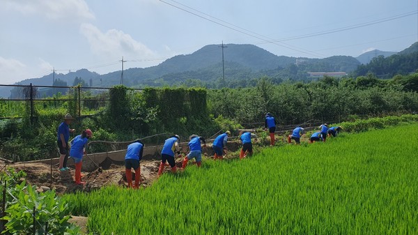 사진/신한금융