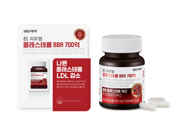 지큐랩 콜레스테롤 BBR 700억. 사진/일동제약