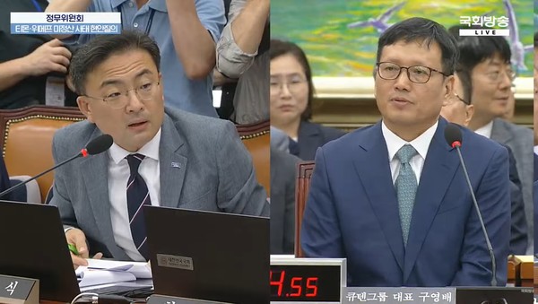 구영배 큐텐그룹 대표가 30일 열린 국회 정무위원회 전체회의에서 질의에 답하고 있다. 사진/NATV 국회방송 유튜브