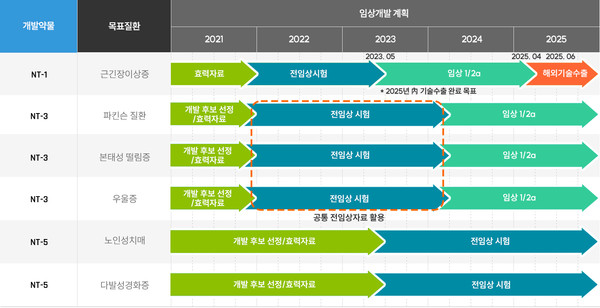 뉴로토브 파이프라인 개발 로드맵. 사진/뉴로토브