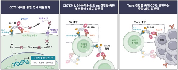 GI-108 모식도. 사진/지아이이노베이션