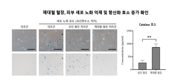사진/메디포스트
