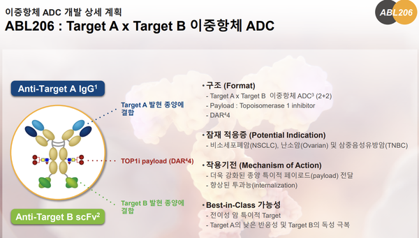 에이비엘바이오 이중항체 ADC ABL206. 사진/에이비엘바이오
