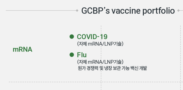 GC녹십자의 mRNA 백신 포트폴리오. 사진/GC녹십자
