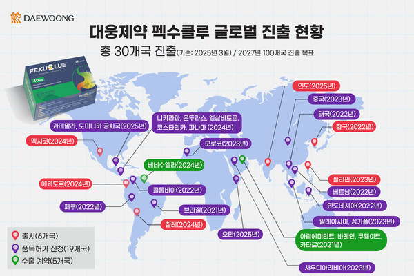 펙수클루 글로벌 진출 현황. 사진/대웅제약