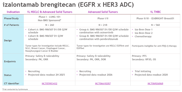 EGFR/HER3 타깃 ADC 이자-브렌(Izalontamab brengitecan)의 개발 현황. 사진/BMS